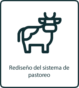 2-servicio-pastoreo