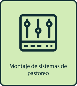 3-servicio