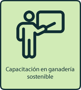 5-servicio