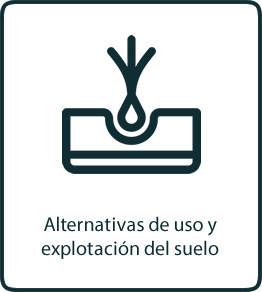 6-servicio