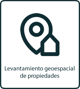 8-servicio