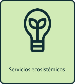 9-servicio