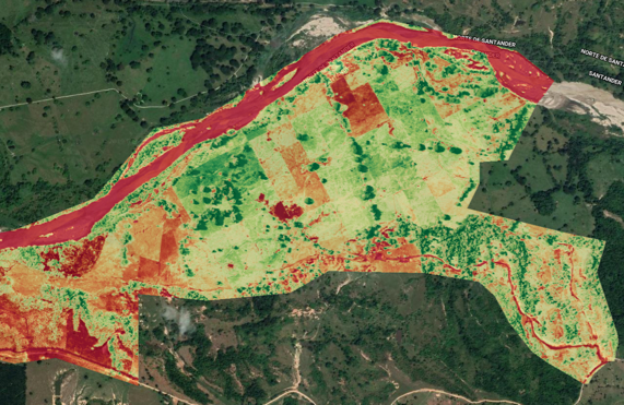 NDVI